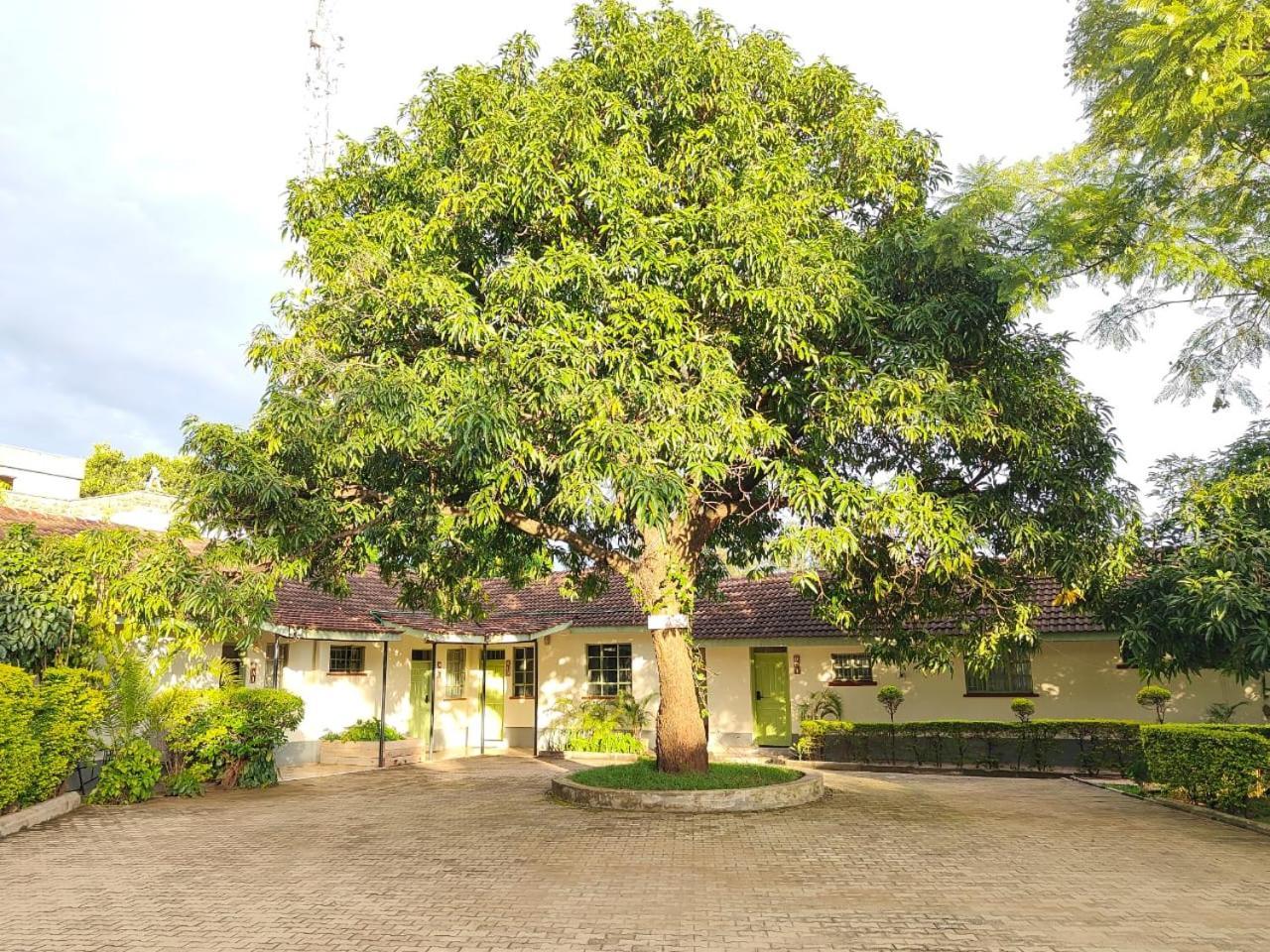 Milimani Drive Livings Appartement Kisumu Buitenkant foto